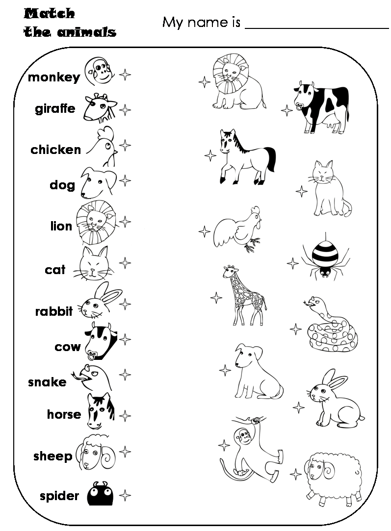 25 New kindergarten worksheet animals 315 Match the animals Animal matching 