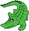 alligator flashcard