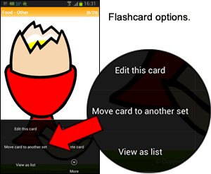 Editing Flashcards / Flashcard Options